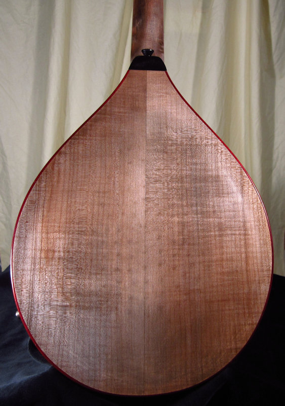 laughlin electric mandolin